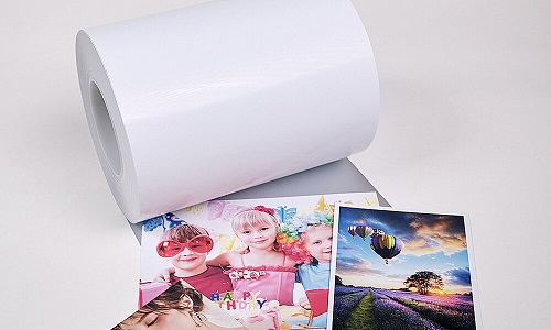 minilab paper roll